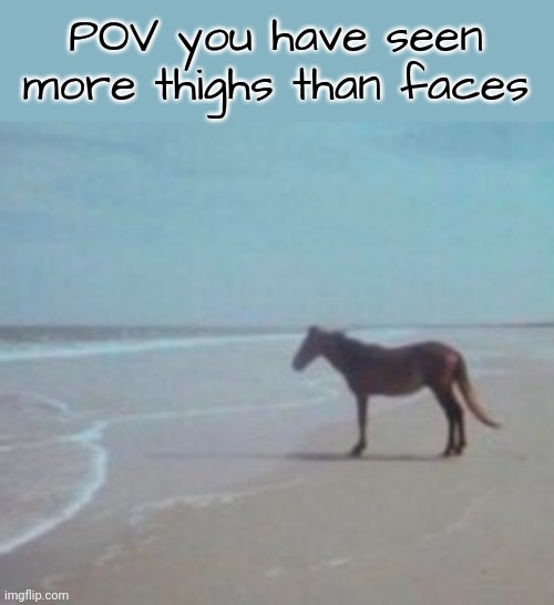 Man | POV you have seen more thighs than faces | image tagged in horse on beach man | made w/ Imgflip meme maker