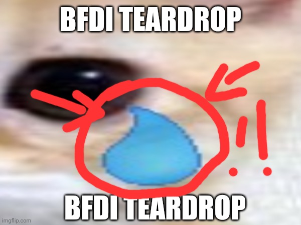 BFDI TEARDROP BFDI TEARDROP | made w/ Imgflip meme maker