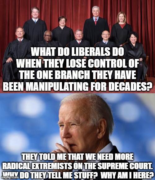 When libs cannot get things done in Congress they always turn to an unelected branch of government to legislate from the bench. | WHAT DO LIBERALS DO WHEN THEY LOSE CONTROL OF THE ONE BRANCH THEY HAVE BEEN MANIPULATING FOR DECADES? THEY TOLD ME THAT WE NEED MORE RADICAL EXTREMISTS ON THE SUPREME COURT.  WHY DO THEY TELL ME STUFF?  WHY AM I HERE? | image tagged in dems make bad law by manipulating scotus,dems make bad law through executive orders,dems make bad | made w/ Imgflip meme maker