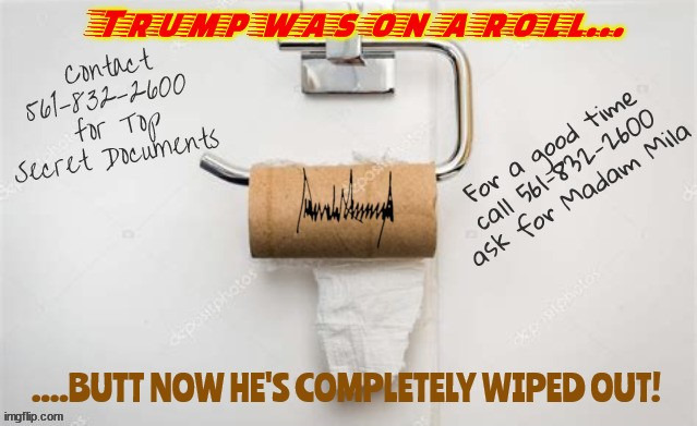 image tagged in trumpty dumpty,shit outta luck,end of the roll,down the tubes,flush 15 times,dump trump | made w/ Imgflip meme maker