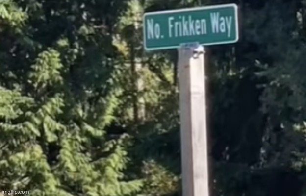 No frikken way | image tagged in no frikken way | made w/ Imgflip meme maker