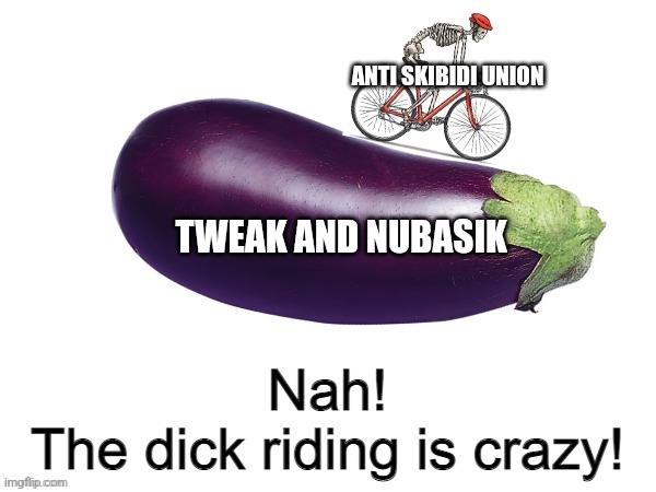 Nah! The dick riding is crazy! | ANTI SKIBIDI UNION; TWEAK AND NUBASIK | image tagged in nah the dick riding is crazy | made w/ Imgflip meme maker