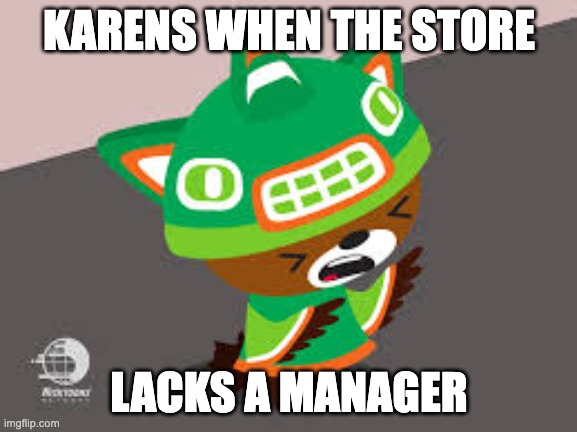 sumi screaming/cringing | KARENS WHEN THE STORE; LACKS A MANAGER | image tagged in sumi screaming/cringing | made w/ Imgflip meme maker