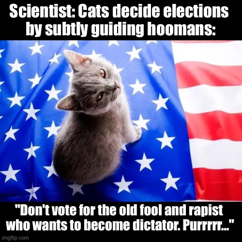 Advice kitten | Scientist: Cats decide elections 
by subtly guiding hoomans:; "Don't vote for the old fool and rapist 
who wants to become dictator. Purrrrr…" | image tagged in trump,harris,jd vance,usa | made w/ Imgflip meme maker