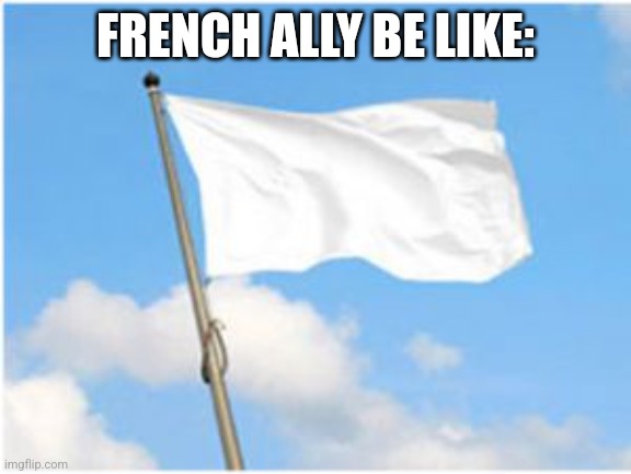 White flag | FRENCH ALLY BE LIKE: | image tagged in white flag,france,surrender,memes,europe,european union | made w/ Imgflip meme maker