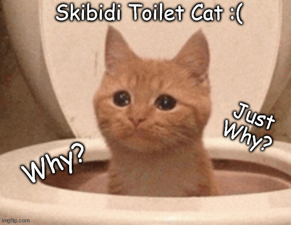 Why do people like this they made a poor little cat do this...LOOK ITS LITERLY CRYING!!!! | Skibidi Toilet Cat :(; Just Why? Why? | image tagged in cat | made w/ Imgflip meme maker