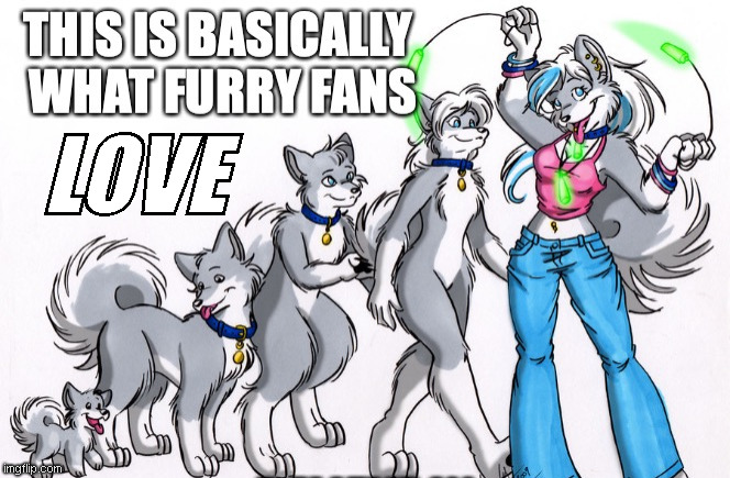 What Furry Fans Love | LOVE | image tagged in furry fans love,fur,furry,love | made w/ Imgflip meme maker