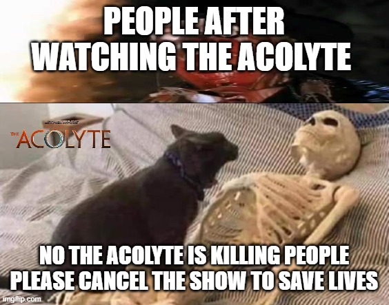 the acolyte is killing people | PEOPLE AFTER WATCHING THE ACOLYTE; NO THE ACOLYTE IS KILLING PEOPLE PLEASE CANCEL THE SHOW TO SAVE LIVES | image tagged in cat meowing,star wars,i see dead people,disney plus,evil overlord rules,cancerous | made w/ Imgflip meme maker