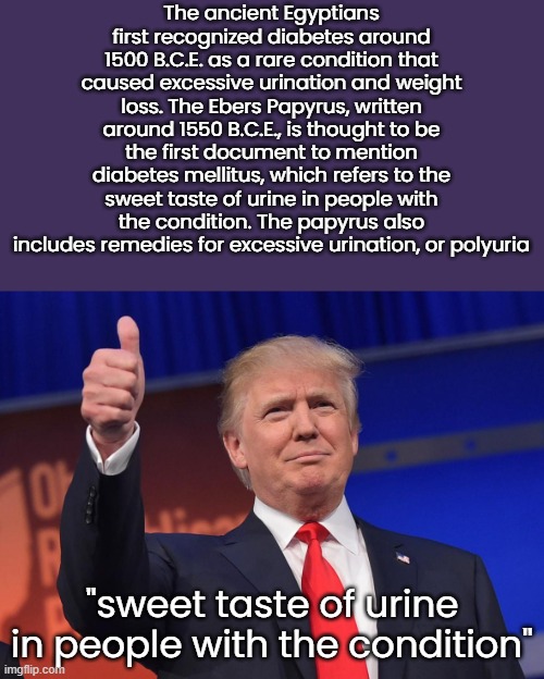 The person who tried it: | The ancient Egyptians first recognized diabetes around 1500 B.C.E. as a rare condition that caused excessive urination and weight loss. The Ebers Papyrus, written around 1550 B.C.E., is thought to be the first document to mention diabetes mellitus, which refers to the sweet taste of urine in people with the condition. The papyrus also includes remedies for excessive urination, or polyuria; "sweet taste of urine in people with the condition" | image tagged in donald trump | made w/ Imgflip meme maker