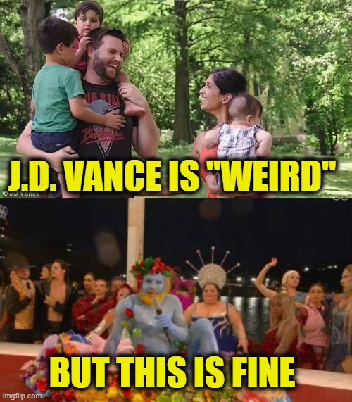 More Leftist Logic | J.D. VANCE IS "WEIRD"; BUT THIS IS FINE | image tagged in leftists | made w/ Imgflip meme maker