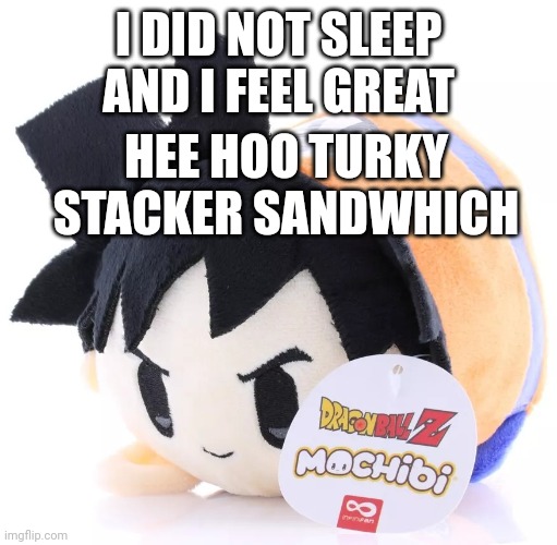 Radium would smash this | I DID NOT SLEEP AND I FEEL GREAT; HEE HOO TURKY STACKER SANDWHICH | image tagged in radium would smash this | made w/ Imgflip meme maker