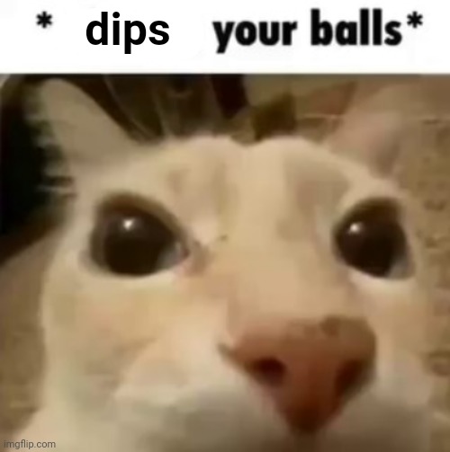 Dipping | dips | image tagged in x your balls,dipping donut balls | made w/ Imgflip meme maker