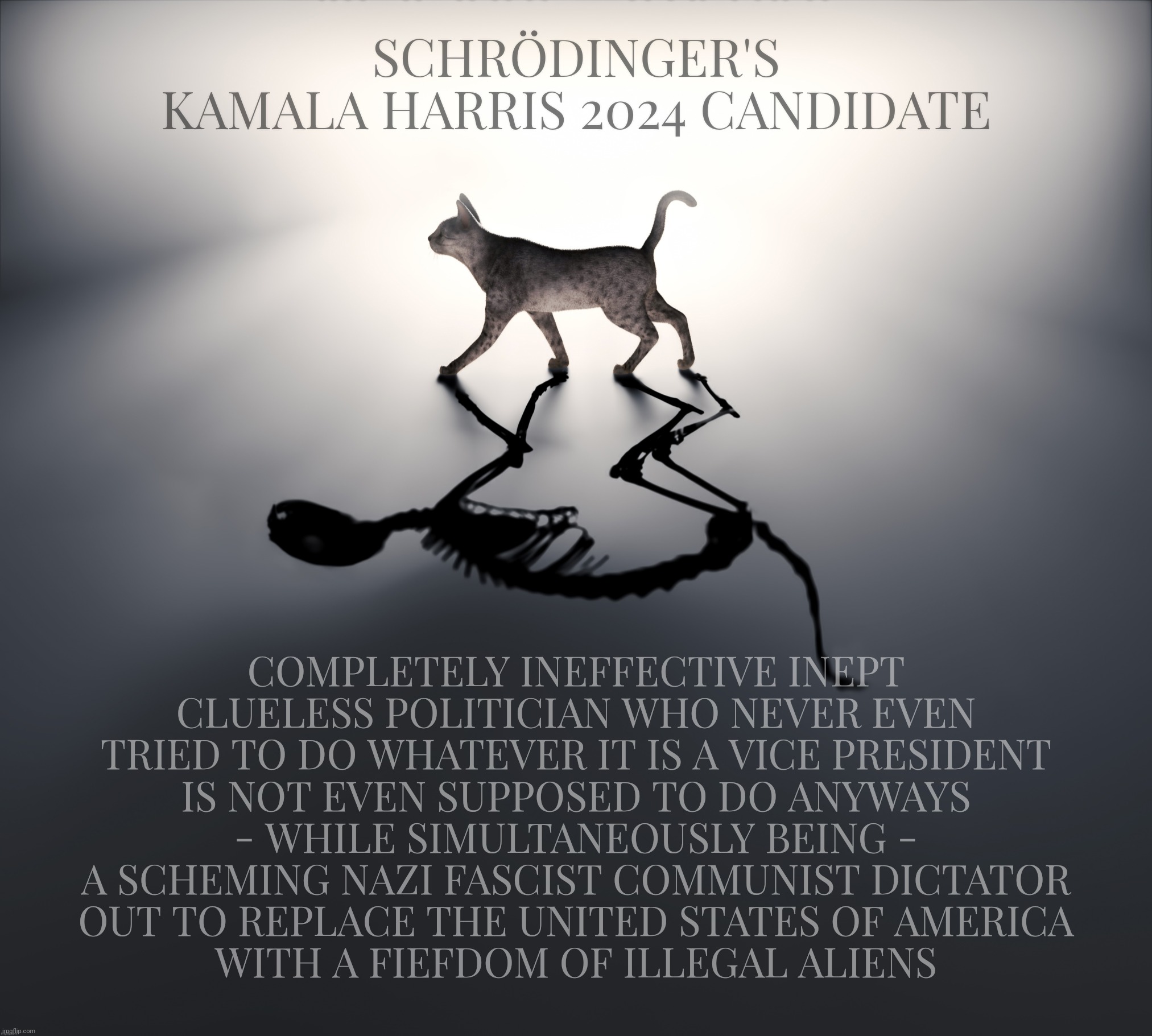 Schrödinger's Kamala Harris 2024  Candidate | SCHRÖDINGER'S
KAMALA HARRIS 2024 CANDIDATE COMPLETELY INEFFECTIVE INEPT
CLUELESS POLITICIAN WHO NEVER EVEN TRIED TO DO WHATEVER IT IS A VICE | image tagged in schrodinger's cat,schrodinger's kamala harris 2024 candidate,dei hire,or nazi,maga musical chairs,conservative hypocrisy | made w/ Imgflip meme maker