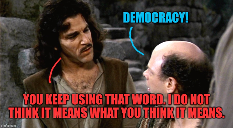 Democracy! | DEMOCRACY! YOU KEEP USING THAT WORD. I DO NOT THINK IT MEANS WHAT YOU THINK IT MEANS. | image tagged in inigo montoya i do not think that word means what you think it m | made w/ Imgflip meme maker