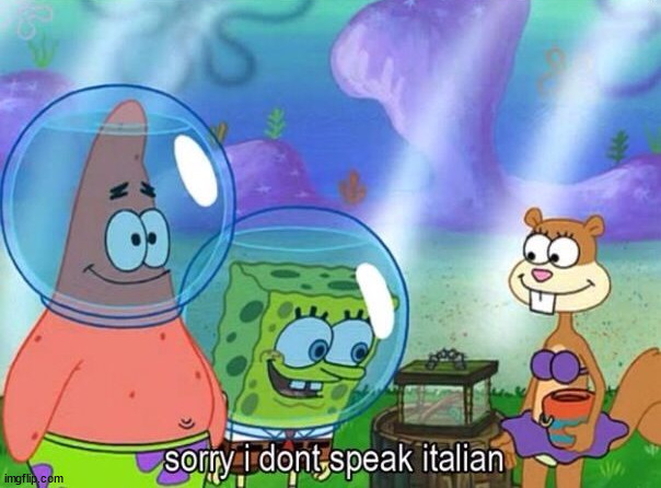 Sorry I don't speak italian | image tagged in sorry i don't speak italian | made w/ Imgflip meme maker