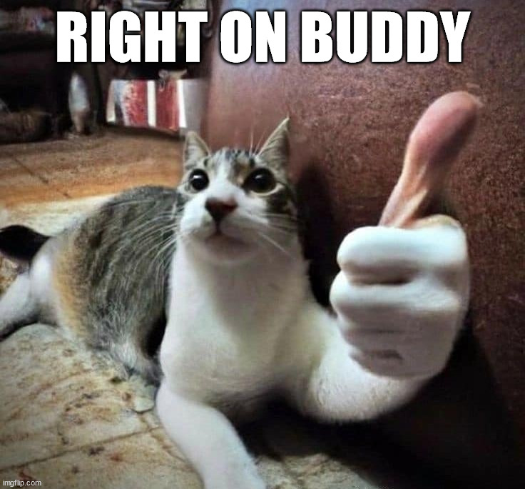 Cat thumb | RIGHT ON BUDDY | image tagged in cursed image | made w/ Imgflip meme maker