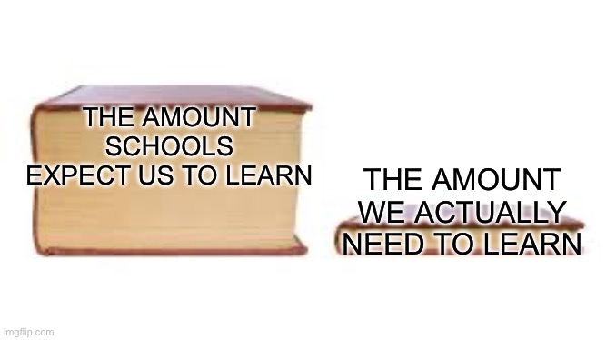 Big book small book | THE AMOUNT SCHOOLS EXPECT US TO LEARN; THE AMOUNT WE ACTUALLY NEED TO LEARN | image tagged in big book small book | made w/ Imgflip meme maker