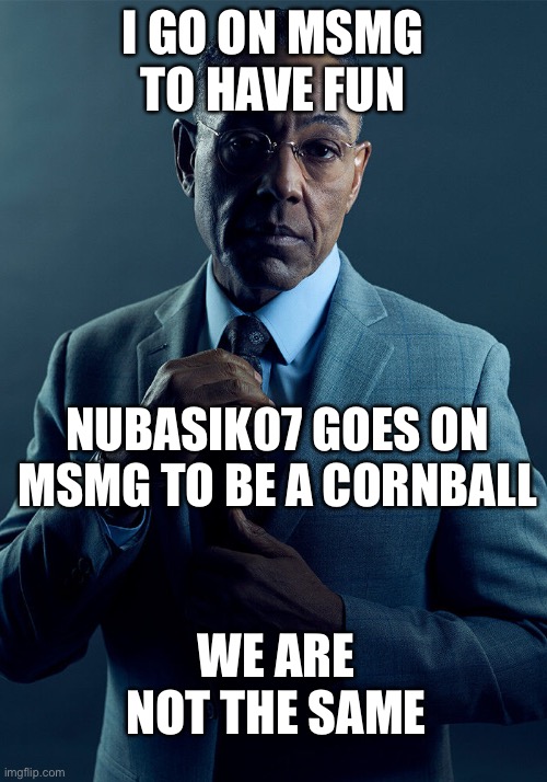 bro i found this post from two years ago in my images what was i on bro | I GO ON MSMG TO HAVE FUN; NUBASIK07 GOES ON MSMG TO BE A CORNBALL; WE ARE NOT THE SAME | image tagged in gus fring we are not the same | made w/ Imgflip meme maker
