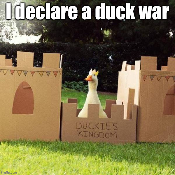 I kingdom for a duck | I declare a duck war | image tagged in ducks | made w/ Imgflip meme maker