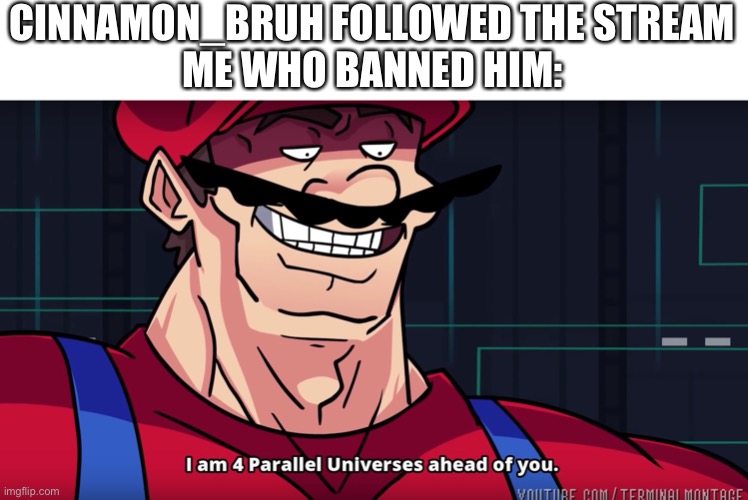 Mario I am four parallel universes ahead of you | CINNAMON_BRUH FOLLOWED THE STREAM
ME WHO BANNED HIM: | image tagged in mario i am four parallel universes ahead of you | made w/ Imgflip meme maker