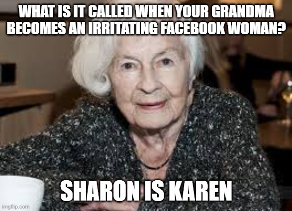 Grandmother | WHAT IS IT CALLED WHEN YOUR GRANDMA BECOMES AN IRRITATING FACEBOOK WOMAN? SHARON IS KAREN | image tagged in grandmother | made w/ Imgflip meme maker