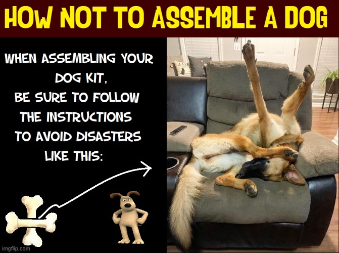 The Best Dog Kits Come with a Warning | image tagged in vince vance,memes,dogs,kits,assembly,required | made w/ Imgflip meme maker