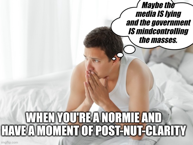 Post-nut-clarity | Maybe the media IS lying and the government IS mindcontrolling the masses. WHEN YOU'RE A NORMIE AND HAVE A MOMENT OF POST-NUT-CLARITY | image tagged in couple in bed | made w/ Imgflip meme maker