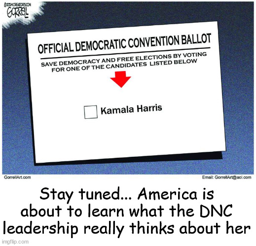 Stay tuned... America is about to learn what the DNC leadership really thinks about her | made w/ Imgflip meme maker