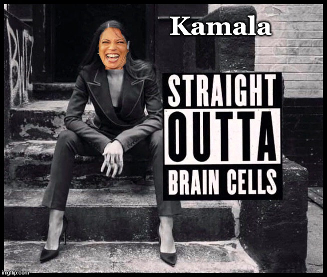 Not the brightest bulb in the knife drawer - Kamala | Kamala | image tagged in kamala harris,dumb and dumber | made w/ Imgflip meme maker