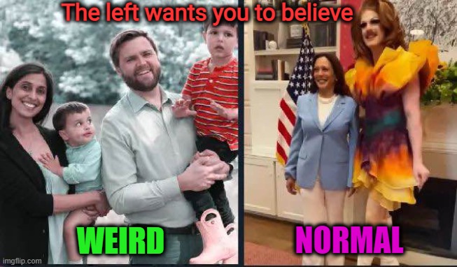 The Biden-Harris admin has been a parade of freaks | The left wants you to believe; NORMAL; WEIRD | image tagged in freaks,white house,vice president,weird,new normal | made w/ Imgflip meme maker