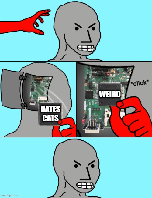 NPC Update Chip | WEIRD; HATES CATS | image tagged in npc update chip | made w/ Imgflip meme maker