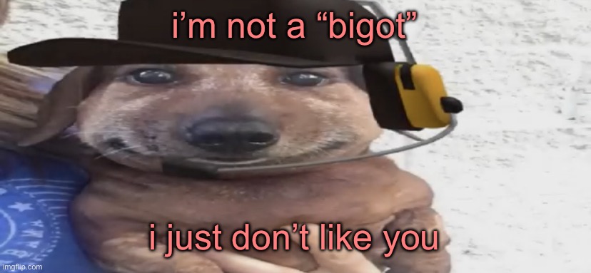 chucklenuts | i’m not a “bigot”; i just don’t like you | image tagged in chucklenuts | made w/ Imgflip meme maker
