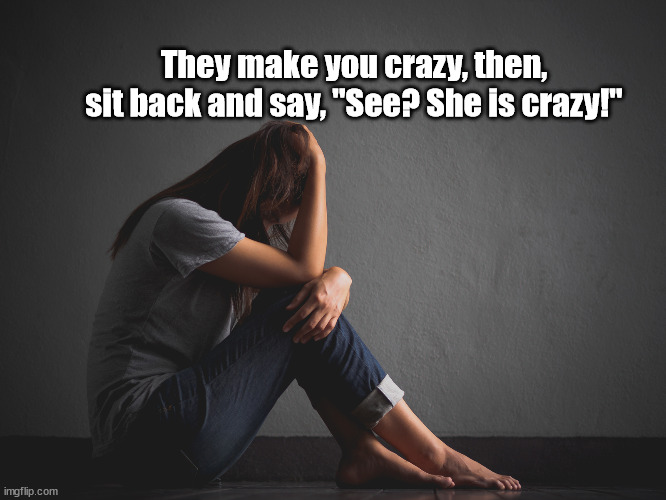 narc husband, crazy making | They make you crazy, then, sit back and say, "See? She is crazy!" | image tagged in crazy lady | made w/ Imgflip meme maker