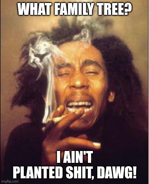 Bob Marley Logic | WHAT FAMILY TREE? I AIN'T PLANTED SHIT, DAWG! | image tagged in bob marley logic | made w/ Imgflip meme maker