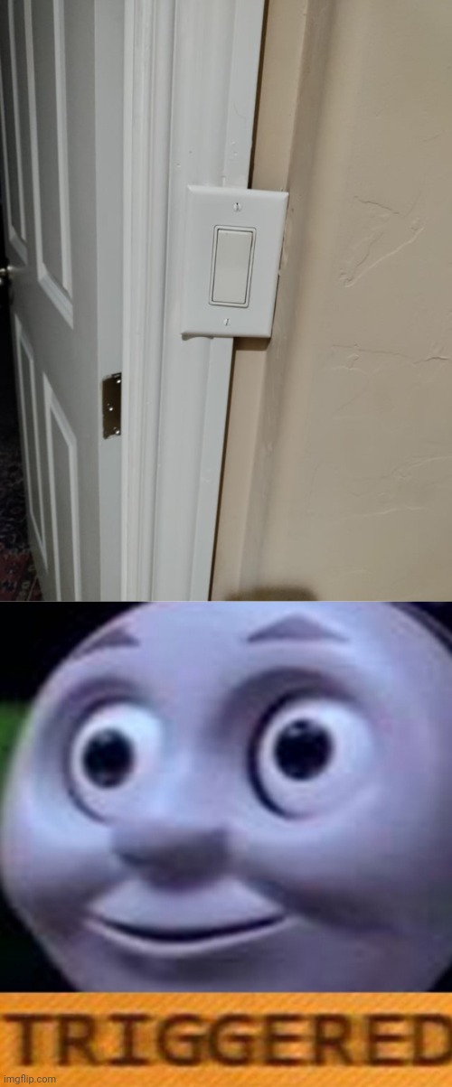 Light switch | image tagged in triggered,light switch,door,doors,you had one job,memes | made w/ Imgflip meme maker