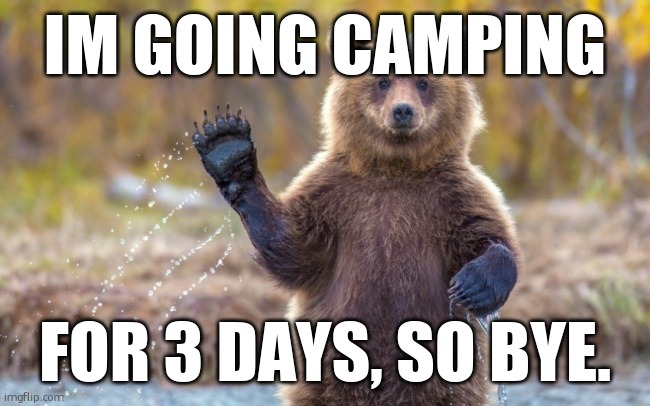 bye bye bear | IM GOING CAMPING; FOR 3 DAYS, SO BYE. | image tagged in bye bye bear | made w/ Imgflip meme maker