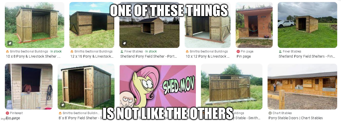 Something's off about my shed... (Shed.MOV meme) | ONE OF THESE THINGS; IS NOT LIKE THE OTHERS | image tagged in mlp,shed,fluttershy,my little pony | made w/ Imgflip meme maker