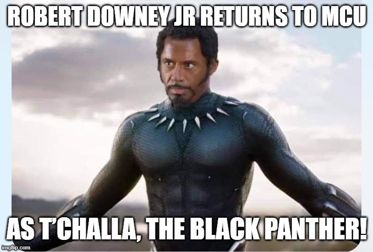 RDJ | image tagged in mcu,robert downey jr | made w/ Imgflip meme maker