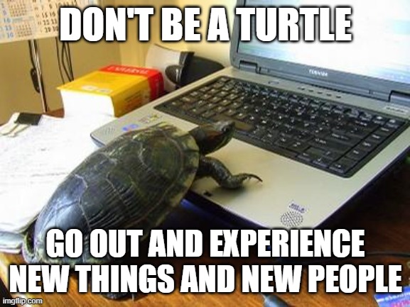 Turtle Computer | DON'T BE A TURTLE; GO OUT AND EXPERIENCE NEW THINGS AND NEW PEOPLE | image tagged in turtle computer | made w/ Imgflip meme maker