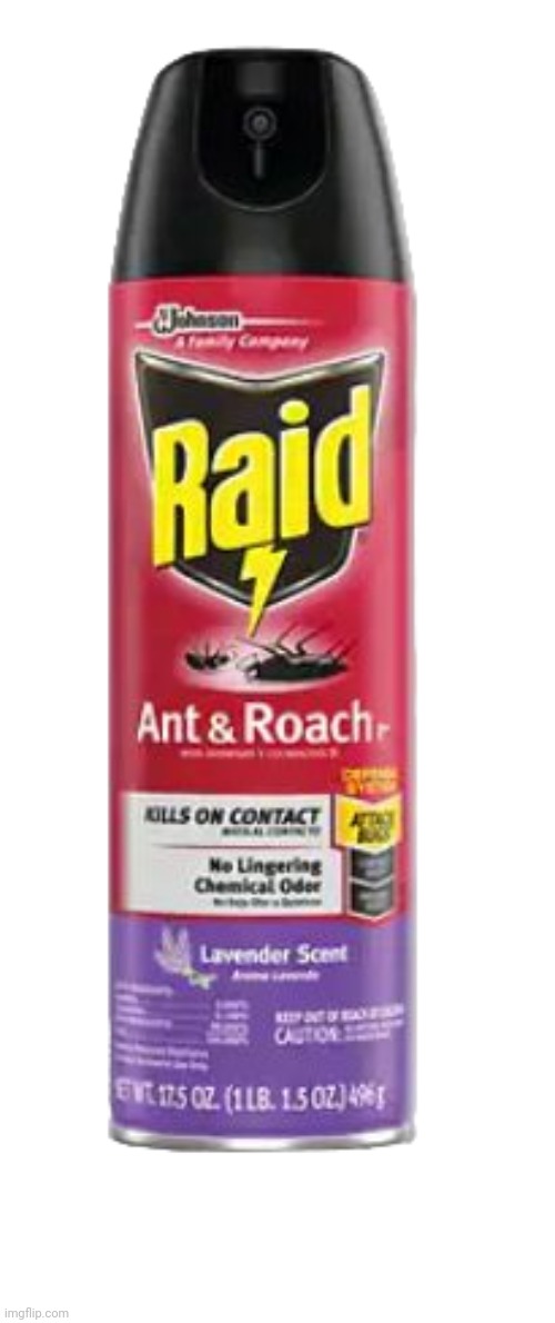 Bug killer | image tagged in raid roach spray | made w/ Imgflip meme maker