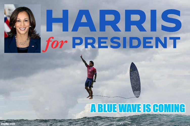 Harris for President - A Blue Wave is Coming | A BLUE WAVE IS COMING | image tagged in blue wave | made w/ Imgflip meme maker