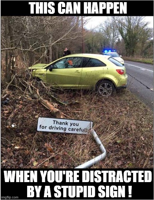 Driving Recklessly ! | THIS CAN HAPPEN; WHEN YOU'RE DISTRACTED
 BY A STUPID SIGN ! | image tagged in cars,stupid signs,dark humour | made w/ Imgflip meme maker