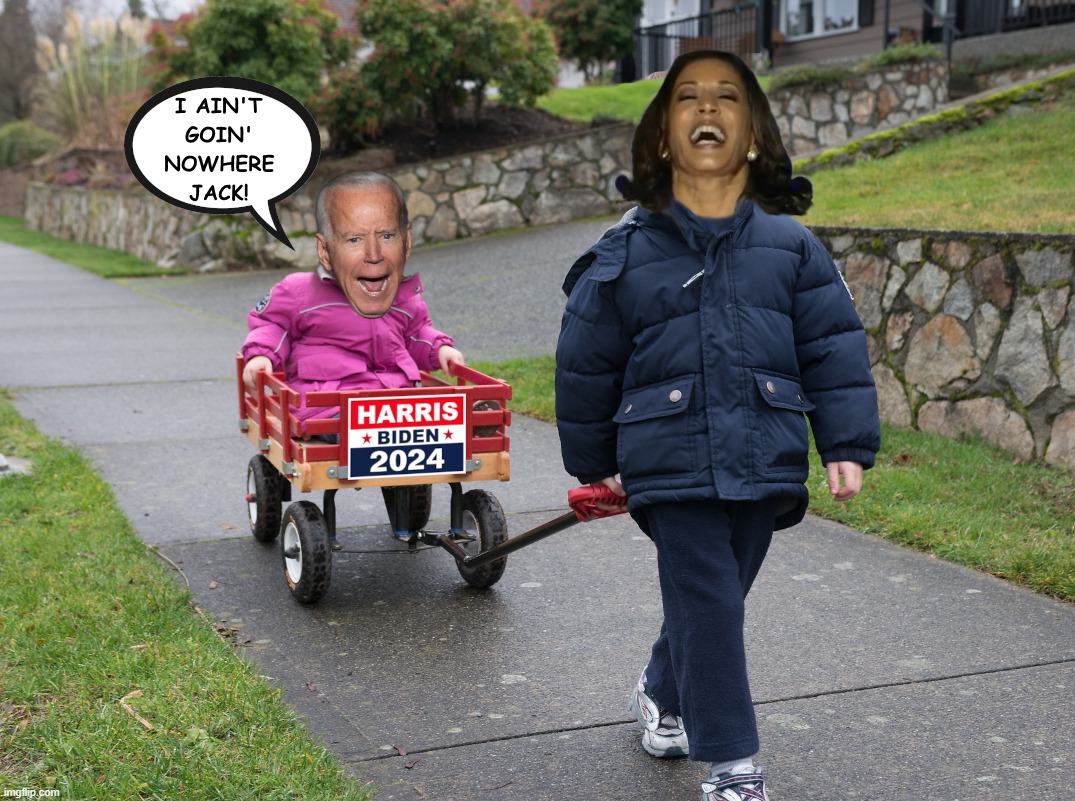 coup d'état | image tagged in kamala harris,biden,2024,election,coup | made w/ Imgflip meme maker