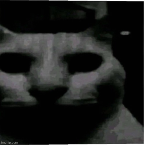 Uncanny cat | image tagged in uncanny cat | made w/ Imgflip meme maker