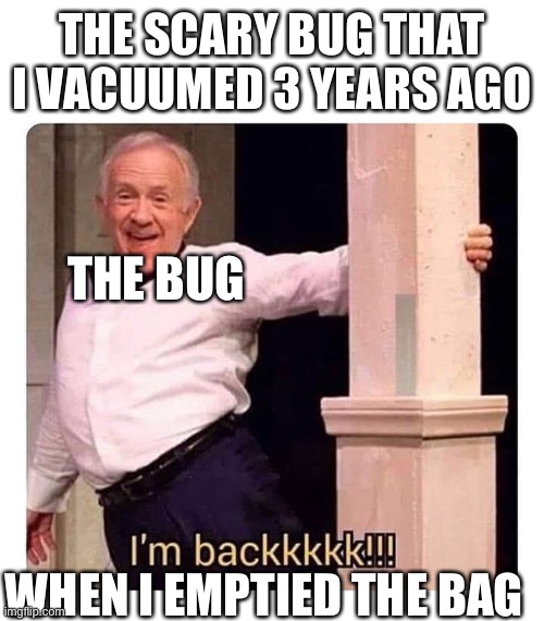 I’m backkkkk | THE SCARY BUG THAT I VACUUMED 3 YEARS AGO; THE BUG; WHEN I EMPTIED THE BAG | image tagged in i m backkkkk | made w/ Imgflip meme maker