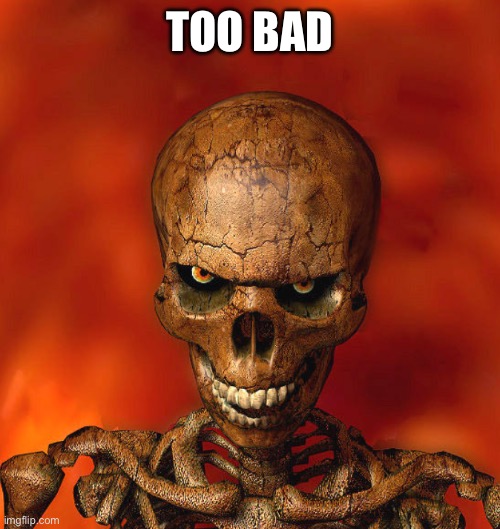 Angry skelly | TOO BAD | image tagged in angry skelly | made w/ Imgflip meme maker