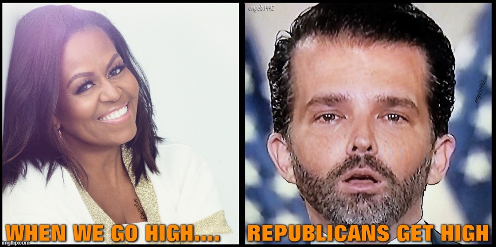 image tagged in donald trump jr,high,maga cult,maga morons,michelle obama,cocaine is a hell of a drug | made w/ Imgflip meme maker