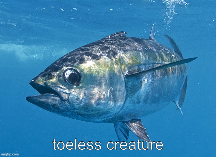 begona abomnation | toeless creature | image tagged in tuna fish | made w/ Imgflip meme maker