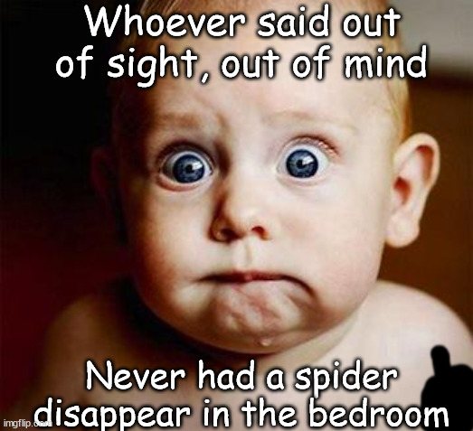 Lost Spider | Whoever said out of sight, out of mind; Never had a spider disappear in the bedroom | image tagged in scared baby | made w/ Imgflip meme maker