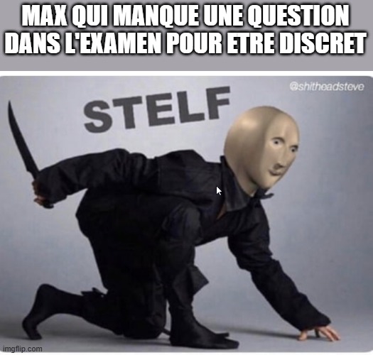 stethl | MAX QUI MANQUE UNE QUESTION DANS L'EXAMEN POUR ETRE DISCRET | image tagged in stelth | made w/ Imgflip meme maker